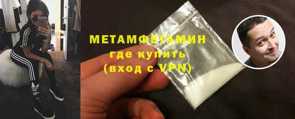 прущие грибы Лысьва